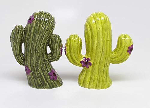 Novelty Magnetic Cactus Ceramic Salt & Pepper Shaker Set