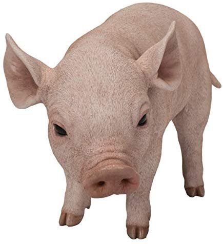 Pacific Giftware PT Realistic Look Statue Farm Piggy Pig Home Decorative Resin Figurine