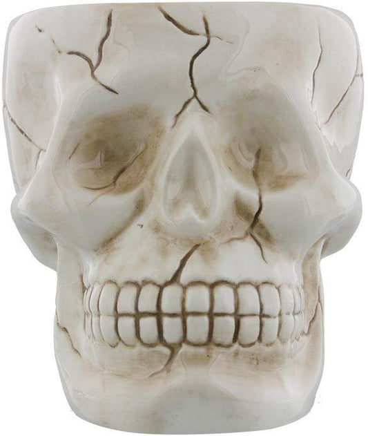 Human Skull Novelty Coffee Mug - Diabolical Bonehead Cup Ceramic 16 oz. Pacific Trading