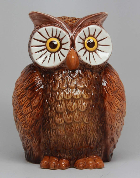 PTC 6 Inch Owl Bird Savings Piggy/Coin/Money Bank, Brown and White