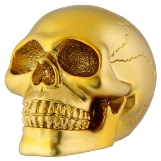 Gold Skull Head Collectible Skeleton Decoration Figurine Model