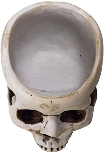 Botega Exclusive Skull Head Open Top Resin Candy Catch-All bowl Flower Pot Planter Figurine