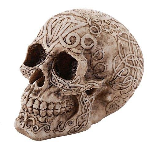 Celtic Owl Knotwork Human Skull Statue Pagan