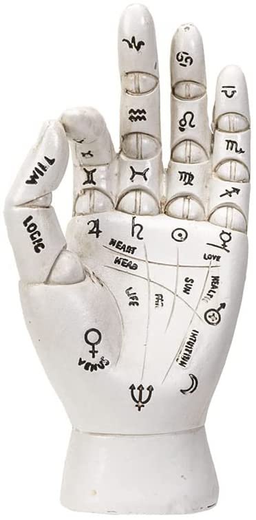 Botega Exclusive Jointed Resin Palmistry Symbol Standing Hand Figurine Home Decor 6” Tall